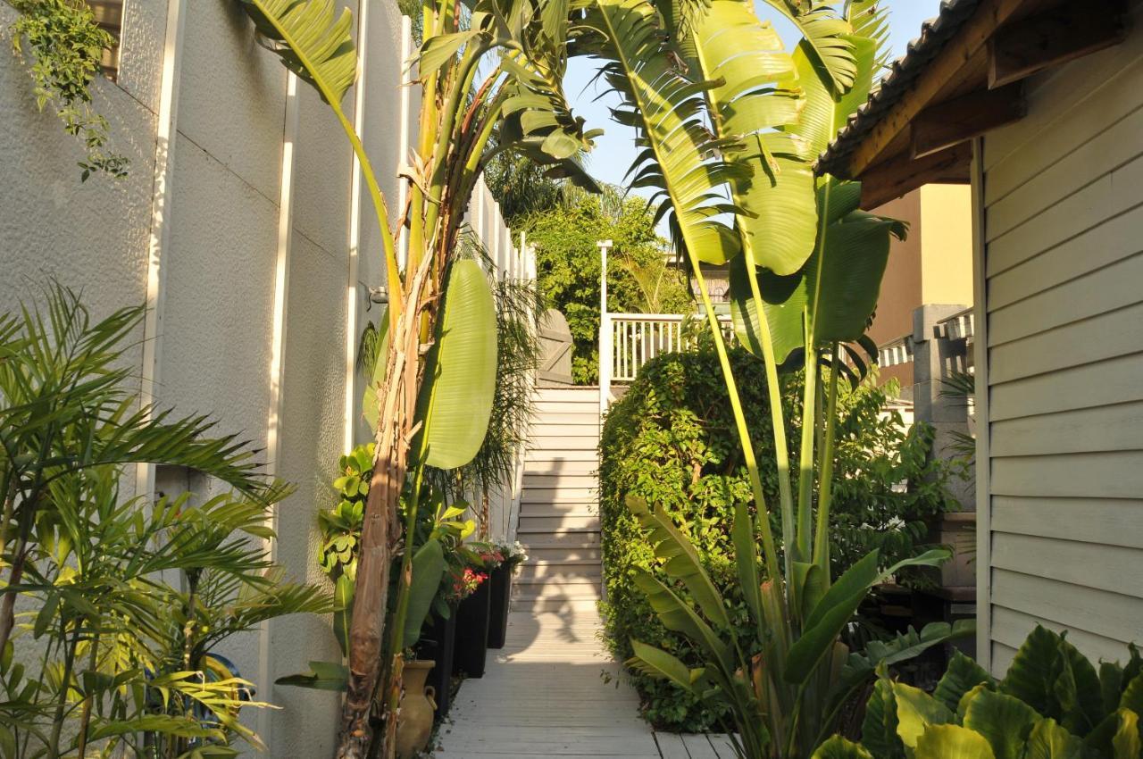 Kesem Bagolan Villa ฮัดเนส ภายนอก รูปภาพ